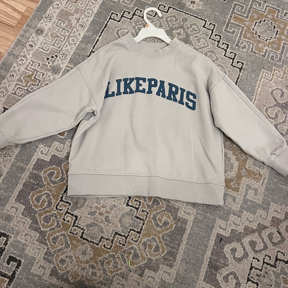 Zara Gray Sweatshirt with Blue Print